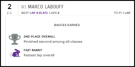 Achievement badges screenshot